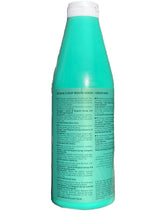Charger l'image dans la galerie, Menta Verde - PreGel - Konzentrierter Pfefferminz Sirup