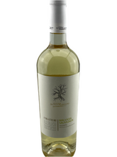 Załaduj obraz do przeglądarki galerii, Malvasia Sauvignon -Feudi di San Marzano I Tratturi-
